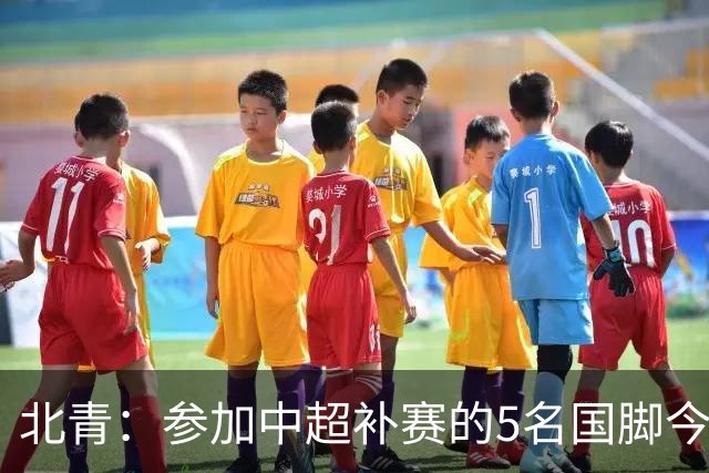 北青：参加中超补赛的5名国脚今晚到队，国足参训人数达到22人